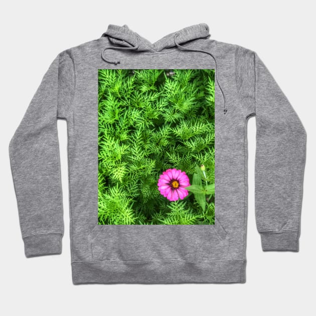 Pink Zinnia flower on yellow cosmos bush Hoodie by FOGSJ